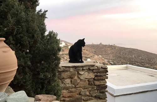 Tinos House | Unique view of the Aegean Sea and islands