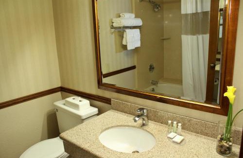 Raisin Hotel | University Square Hotel
