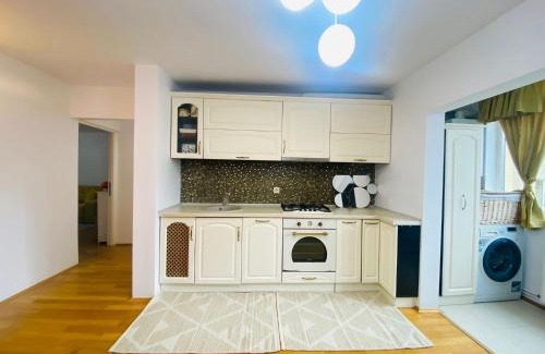 Cluj-Napoca Apartment | UNTOLD Apartment