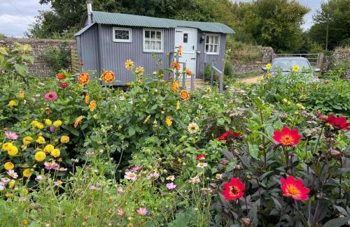 Sutton Other | Up at the Barn