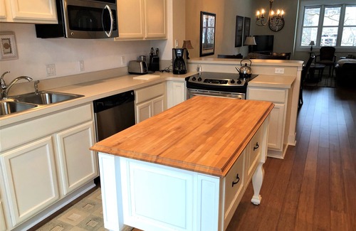 Traverse City Condo | Upscale Condo Downtown