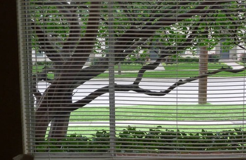 Knox - Henderson Apartment | Uptown Dallas - Bright Studio 1A, WiFi, Parking, Near Restaurants & Shops & Safe