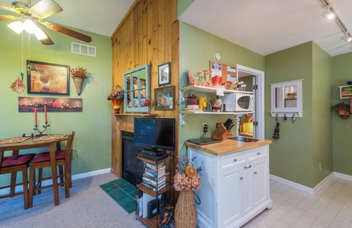 Black Mountain Apartment | Uptown Treehouse | Cozy Treetop Apartment in Downtown Black Mtn!
