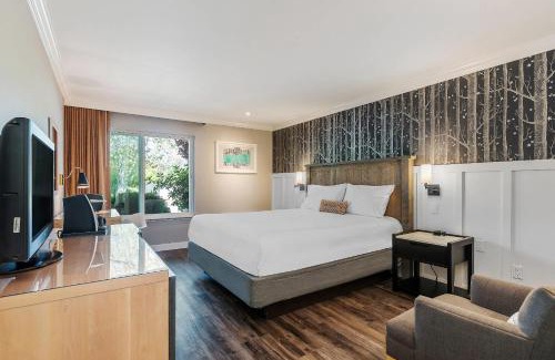 Calistoga Hotel | UpValley Inn & Hot Springs, an Ascend Collection Hotel