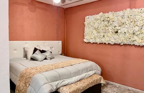 Cancun Apartment | Urban Jungle Collection