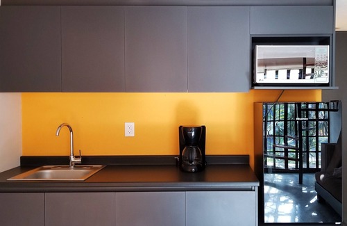 Chapultepec Sur Apartment | URBAN LOFT NEAR DOWNTOWN