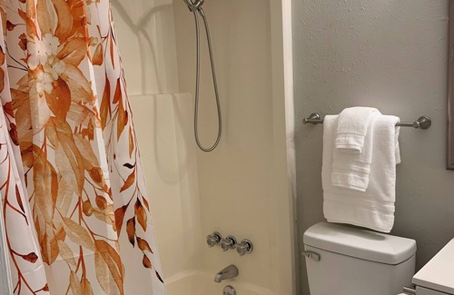 Fourth Ward Apartment | Urban Oasis in Historic Fourth Ward - Walk to Uptown - WiFi & Free Parking