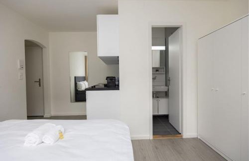 Sihlfeld Apartment | Urban Oasis with Queen Bed and View BE-48