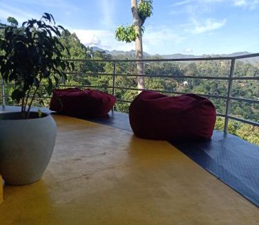 Ella Bed & Breakfast | Urban roots lodge