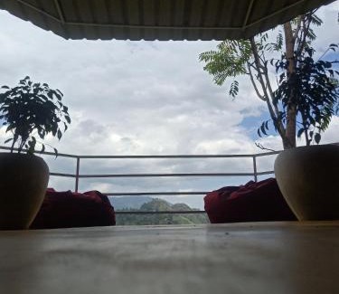 Ella Bed & Breakfast | Urban roots lodge