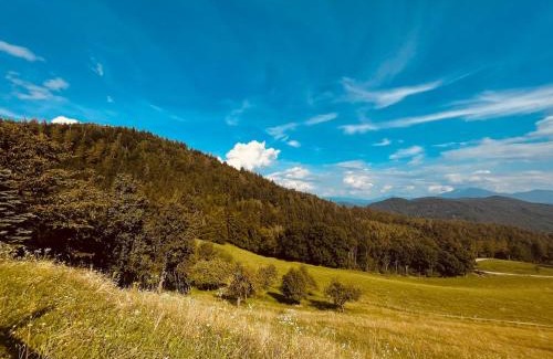 Bruckl Apartment | Urlaub am Christofberg