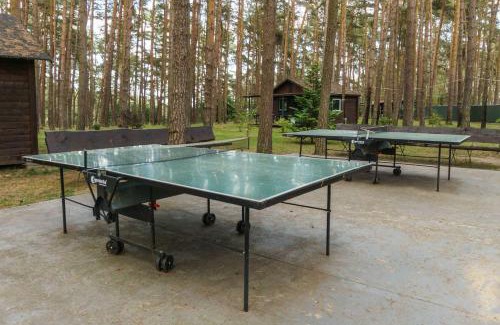 Luetow Other | Urlaub im Bungalow mitten im Wald