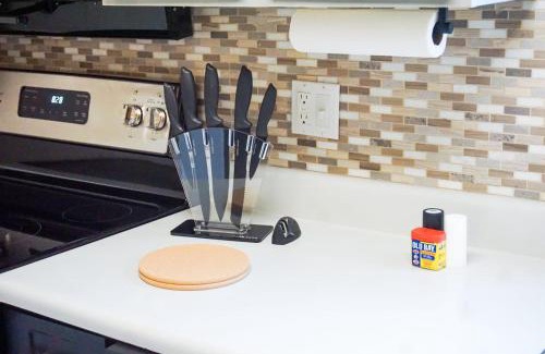 University House | USF & Busch Gardens Townhome Stay