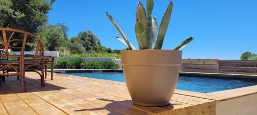 Causses-et-Veyran House | Vacance de Reve