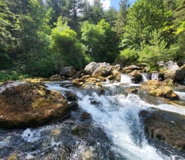 La Celle-sous-Gouzon Apartment | VACANCES à SUPERDEVOLUY hautes Alpes 05250