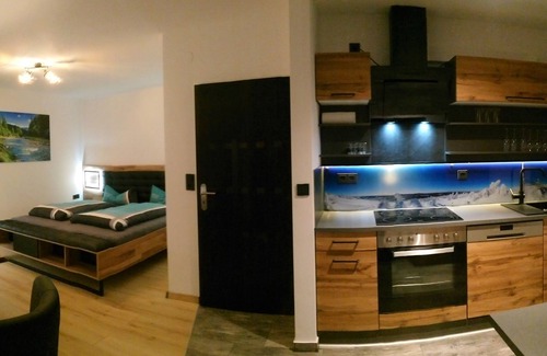 Schulenberg im Oberharz Apartment | Vacation apartment/apartment for 6 guests with 100m² in Schulenberg im Oberharz (265044)