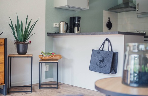 Sankt Andreasberg Apartment | Vacation apartment/apartment for 4 guests with 41m² in Sankt Andreasberg (266827)