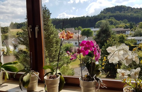 Daun Apartment | Vacation apartment Junk am Lieserpfad