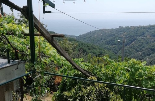 Lavagna Apartment | Vacation apartment/apartment for 4 guests with 130m² in Lavagna (172052)