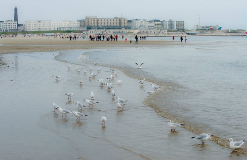 Borkum Apartment | Vacation apartment/apartment for 2 guests with 45m² in Borkum (118123)