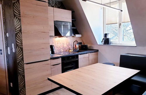 Senftenberg House | Vacation apartment - Seenlandoase Reppist