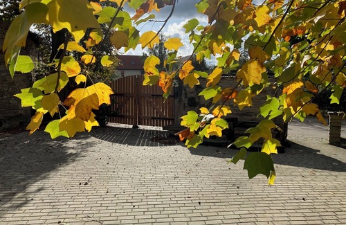 Cossebaude Apartment | Vacation apartment directly on the Elbe cycle path between Dresden, Radebeul and Meißen