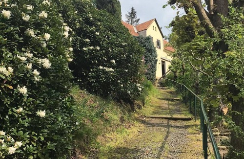 Koenigstein Apartment | Vacation apartment Festungsblick - Holiday apartment, 1 bedroom