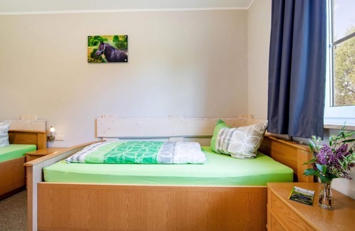 Schonbach Other | Vacation apartment "Falke" for 4 persons, ground floor - Hubertushof Eifel