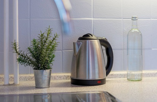 Eutin Apartment | Vacation apartment Gartenzeit with conservatory in the Villa Eck in Eutin