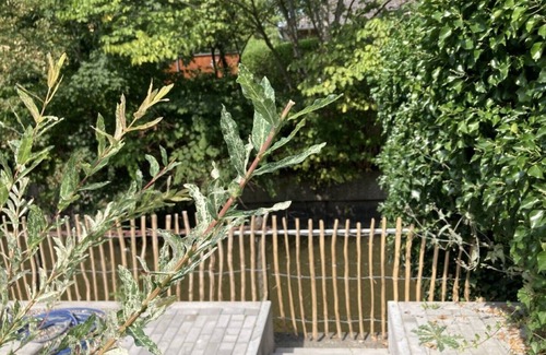 Toenning Apartment | Vacation apartment "Norderhus" (WH2) with 70sqm - quiet central location - with balcony