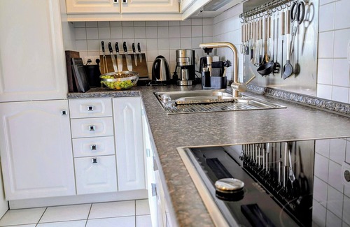 Daisendorf Apartment | Vacation apartment with a view of Lake Constance under palm trees