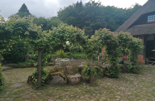 Kalkhorst Apartment | Vacation apartment 'Charming apartment in the natural forest'