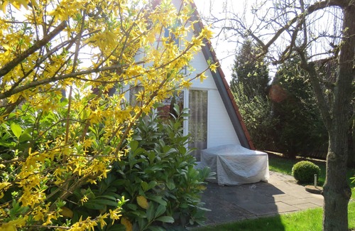 Hollern House | Vacation home 16 Wigwam 53sqm for max. 4 persons with pet - Holiday home Wigwam