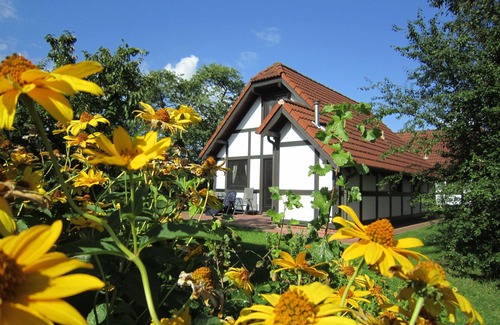 Hollern House | Vacation home 193 Deichgraf 86sqm for max. 5 persons - Holiday home Deichgraf 86 in the