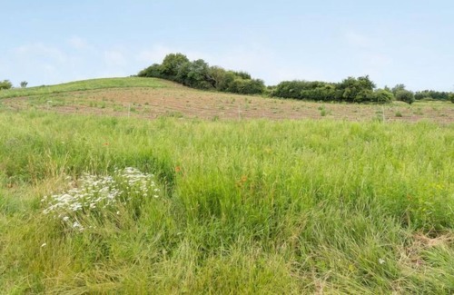Langeland Municipality House | Vacation home "Bo" - 2.1km from the sea in Funen in Tranekær - 4 persons, 2 bedrooms