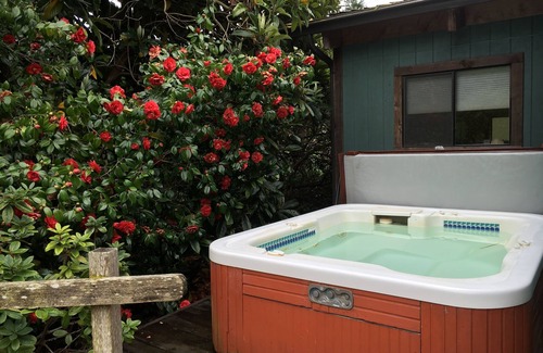 Scotia House | Vacation Home in the Redwoods