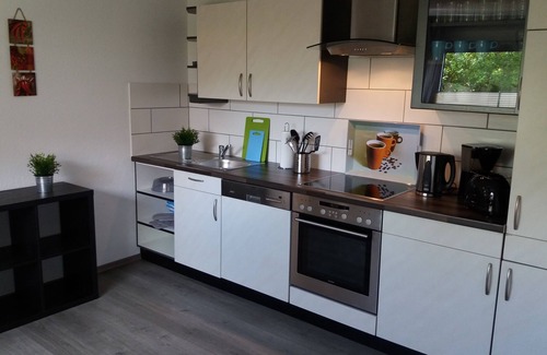 Backemoor House | Vacation home Oll Tuun Rhauderfehn Leer Ostfriesland 6 pers. Fireplace infrared cabin