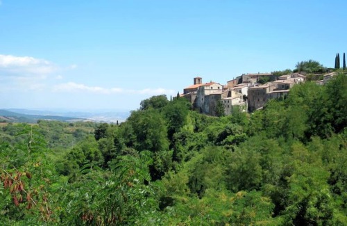 Polveraia House | Vacation home Polveraia in Scansano - 3 persons, 1 bedrooms