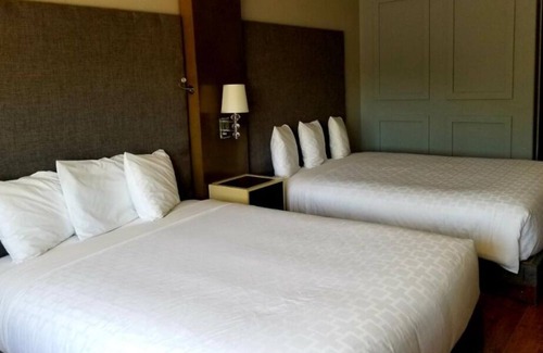 Castle Rock House | Vacation is Calling! Free Parking, Free Breakfast, Near Red Hawk Golf Course