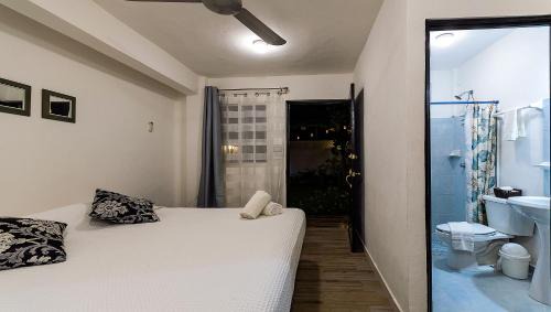 Colonia Adolfo Lopez Mateos Apartment | Vacation Rental - Standard Room at Casa Cocoa