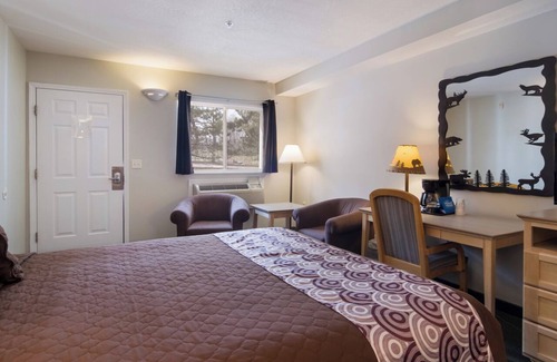 Bellaire Hotel | Vacation Wonderland Awaits at Summit Village - Cozy Guestroom at Shanty Creek!