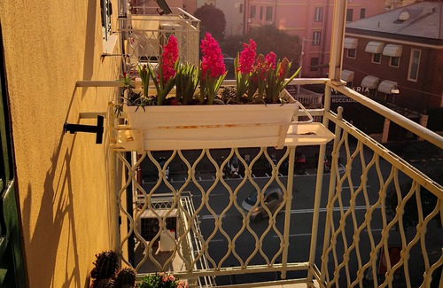 Albaro Apartment | Vacations in Genoa Boccadasse