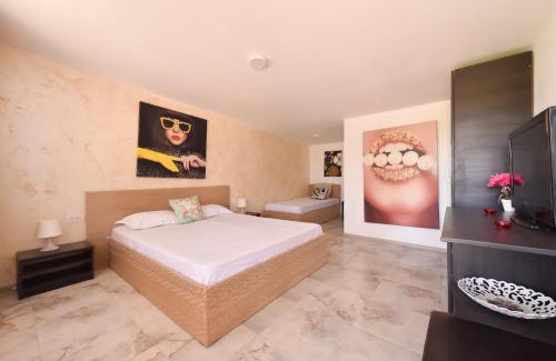 Sacele House | Vadul Chiquita
