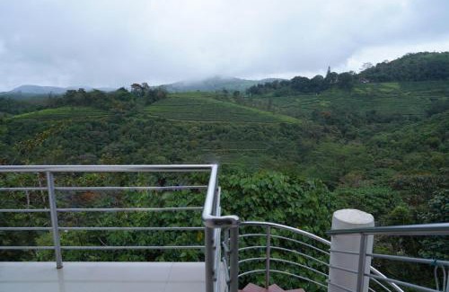 Vagamon Bed & Breakfast | Vagamon Tea County