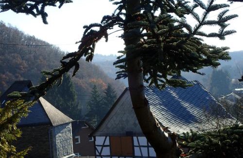 Leisel House | vakantiehuis Hunsrück