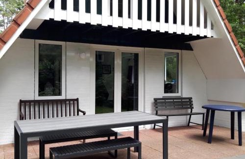 Municipality of Ommen Villa | Vakantiehuis op top locatie #Ommen