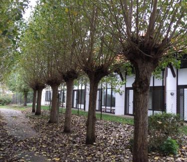 Westende House | Vakantiewoning Kaviaar