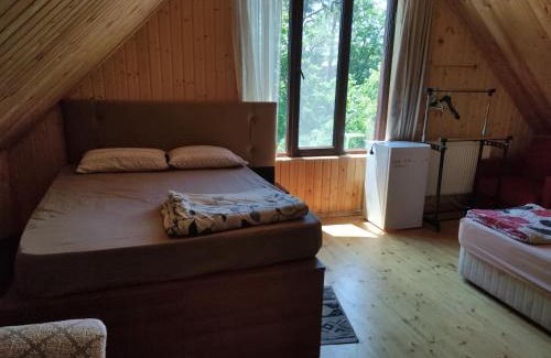 Shekhvetili House | Valdi Guest Shekvetili