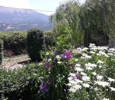 Kalavrita House | VALIA ROOMS