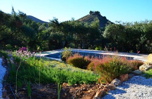 El Chorro House | Valley View